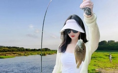 广场舞视频大全2022年最火广场舞